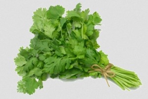 What is coriander? What is cilantro?